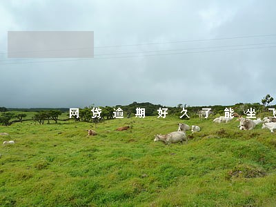 网贷逾期好久了能坐飞机吗 网贷逾期好久了能坐飞机吗