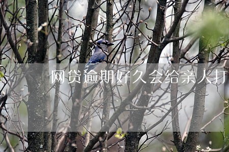 网贷逾期好久会给亲人打电话 网贷逾期好久会给亲人打电话