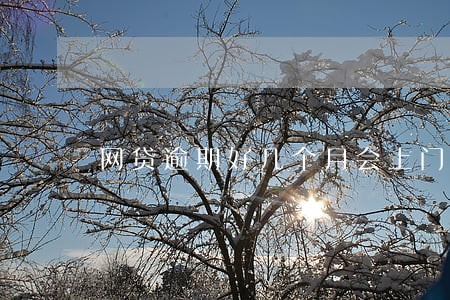 网贷逾期好几个月会上门吗 网贷逾期好几个月会上门吗