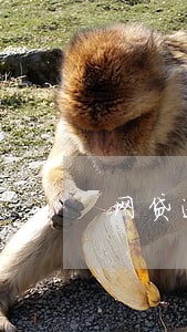 网贷逾期好几个月没钱还会怎么样 网贷逾期好几个月没钱还会怎么样