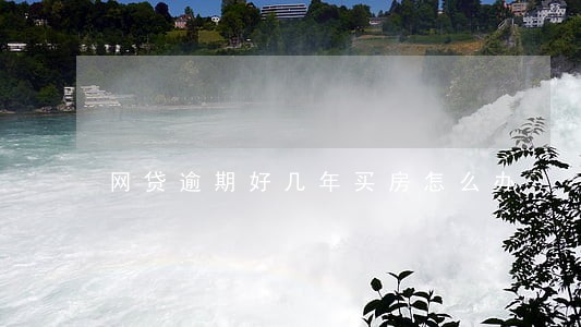 网贷逾期好几年买房怎么办 网贷逾期好几年买房怎么办