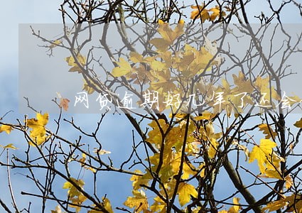 网贷逾期好几年了还会催收吗 网贷逾期好几年了还会催收吗