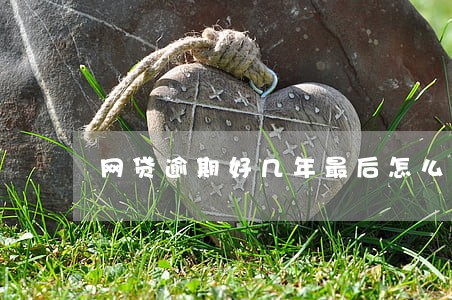 网贷逾期好几年最后怎么解决 网贷逾期好几年最后怎么解决