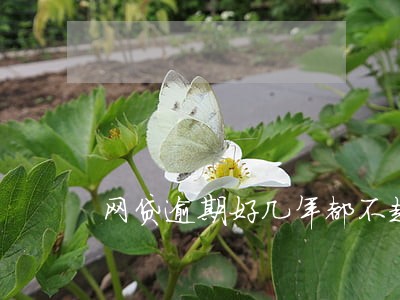 网贷逾期好几年都不起诉 网贷逾期好几年都不起诉