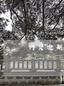 网贷逾期好多为啥能下信用卡 网贷逾期好多为啥能下信用卡