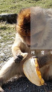 网贷逾期好多天了怎么办