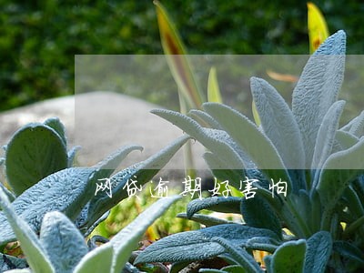 网贷逾期好害怕 网贷逾期好害怕