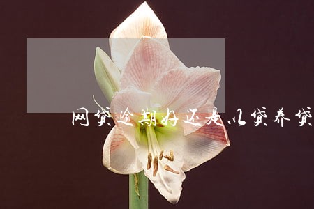 网贷逾期好还是以贷养贷好 网贷逾期好还是以贷养贷好