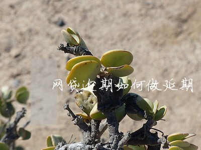 网贷逾期如何做延期 网贷逾期如何做延期