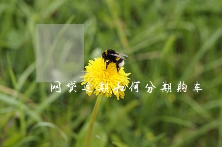 网贷逾期如何分期购车 网贷逾期如何分期购车