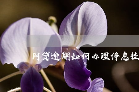网贷逾期如何办理停息挂账 网贷逾期如何办理停息挂账