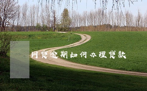 网贷逾期如何办理贷款 网贷逾期如何办理贷款