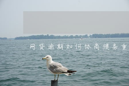 网贷逾期如何协商债务重组 网贷逾期如何协商债务重组