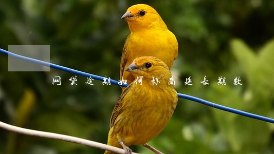 网贷逾期如何协商延长期数 网贷逾期如何协商延长期数
