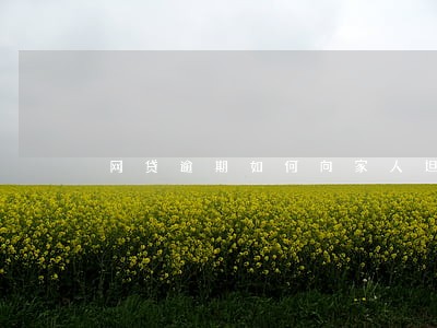 网贷逾期如何向家人坦白 网贷逾期如何向家人坦白