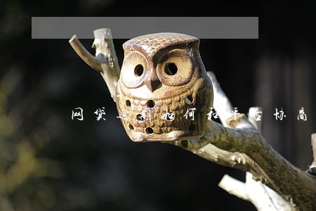 网贷逾期如何和平台协商