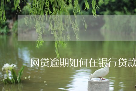 网贷逾期如何在银行贷款 网贷逾期如何在银行贷款