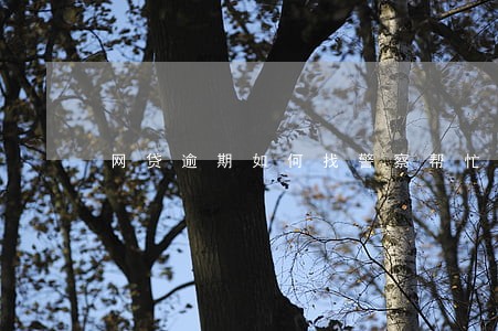 网贷逾期如何找警察帮忙 网贷逾期如何找警察帮忙