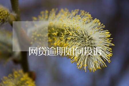 网贷逾期如何投诉 网贷逾期如何投诉