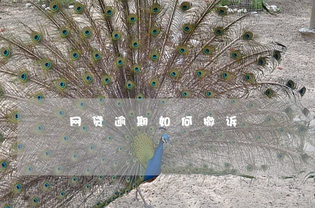 网贷逾期如何撤诉 网贷逾期如何撤诉