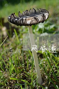 网贷逾期如何收集暴力证据 网贷逾期如何收集暴力证据