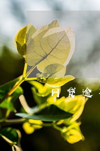 网贷逾期如何放下 网贷逾期如何放下