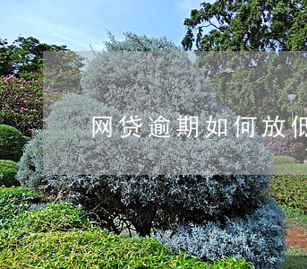 网贷逾期如何放低 网贷逾期如何放低