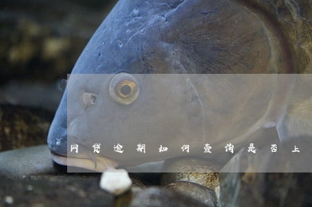 网贷逾期如何查询是否上诉 网贷逾期如何查询是否上诉