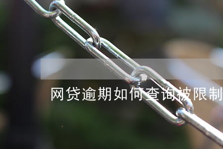 网贷逾期如何查询被限制 网贷逾期如何查询被限制