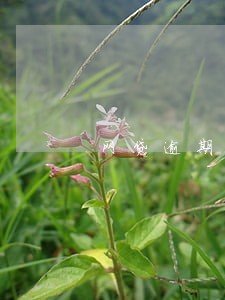 网贷逾期如何注销通讯录 网贷逾期如何注销通讯录