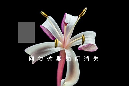 网贷逾期如何消失 网贷逾期如何消失