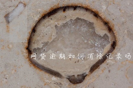 网贷逾期如何消除记录吗 网贷逾期如何消除记录吗