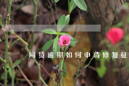 网贷逾期如何申请修复征信 网贷逾期如何申请修复征信