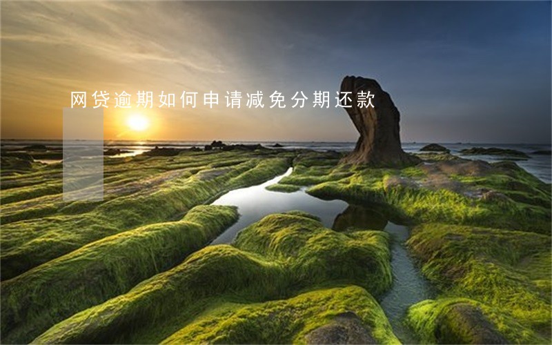 网贷逾期如何申请减免分期还款 网贷逾期如何申请减免分期还款