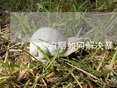 网贷逾期如何解决暴力催收 网贷逾期如何解决暴力催收