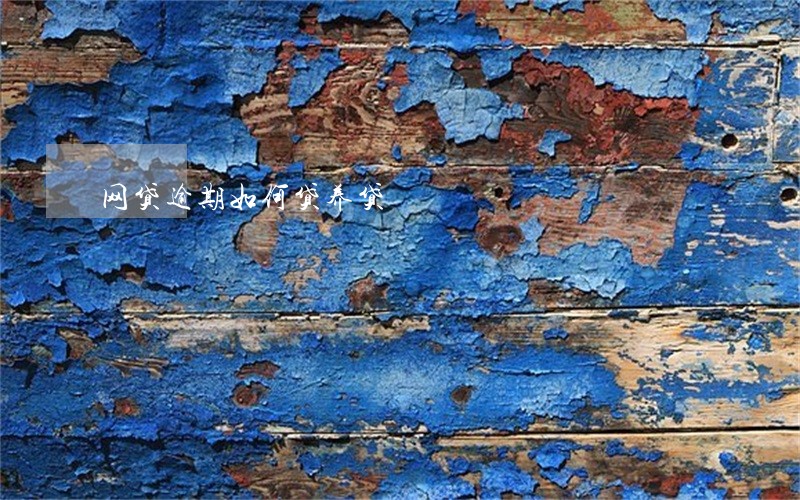 网贷逾期如何贷养贷