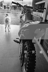 网贷逾期如何贷款 网贷逾期如何贷款