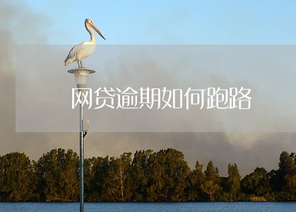 网贷逾期如何跑路 网贷逾期如何跑路