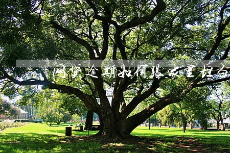 网贷逾期如何跟家里坦白 网贷逾期如何跟家里坦白