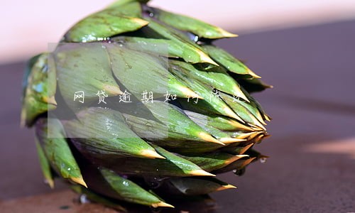 网贷逾期如何陈述 网贷逾期如何陈述