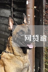 网贷逾期如何面对 网贷逾期如何面对