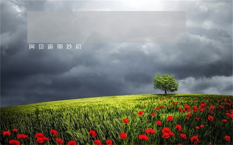 网贷逾期妙招 网贷逾期妙招