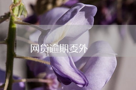 网贷逾期委外 网贷逾期委外