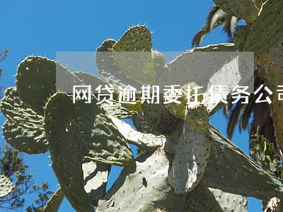 网贷逾期委托债务公司上门收钱 网贷逾期委托债务公司上门收钱