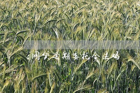 网贷逾期委托合法吗