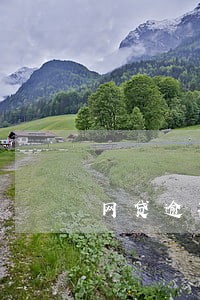 网贷逾期委托当地催收公司