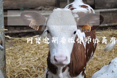 网贷逾期委托律师协商有用吗 网贷逾期委托律师协商有用吗