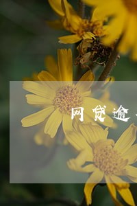 网贷逾期委托律师强制清缴 网贷逾期委托律师强制清缴