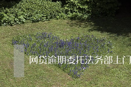 网贷逾期委托法务部上门 网贷逾期委托法务部上门