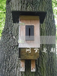网贷逾期委托第三方调查经济情况